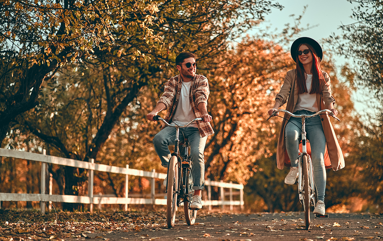 Things to do in the New Forest for Adults
