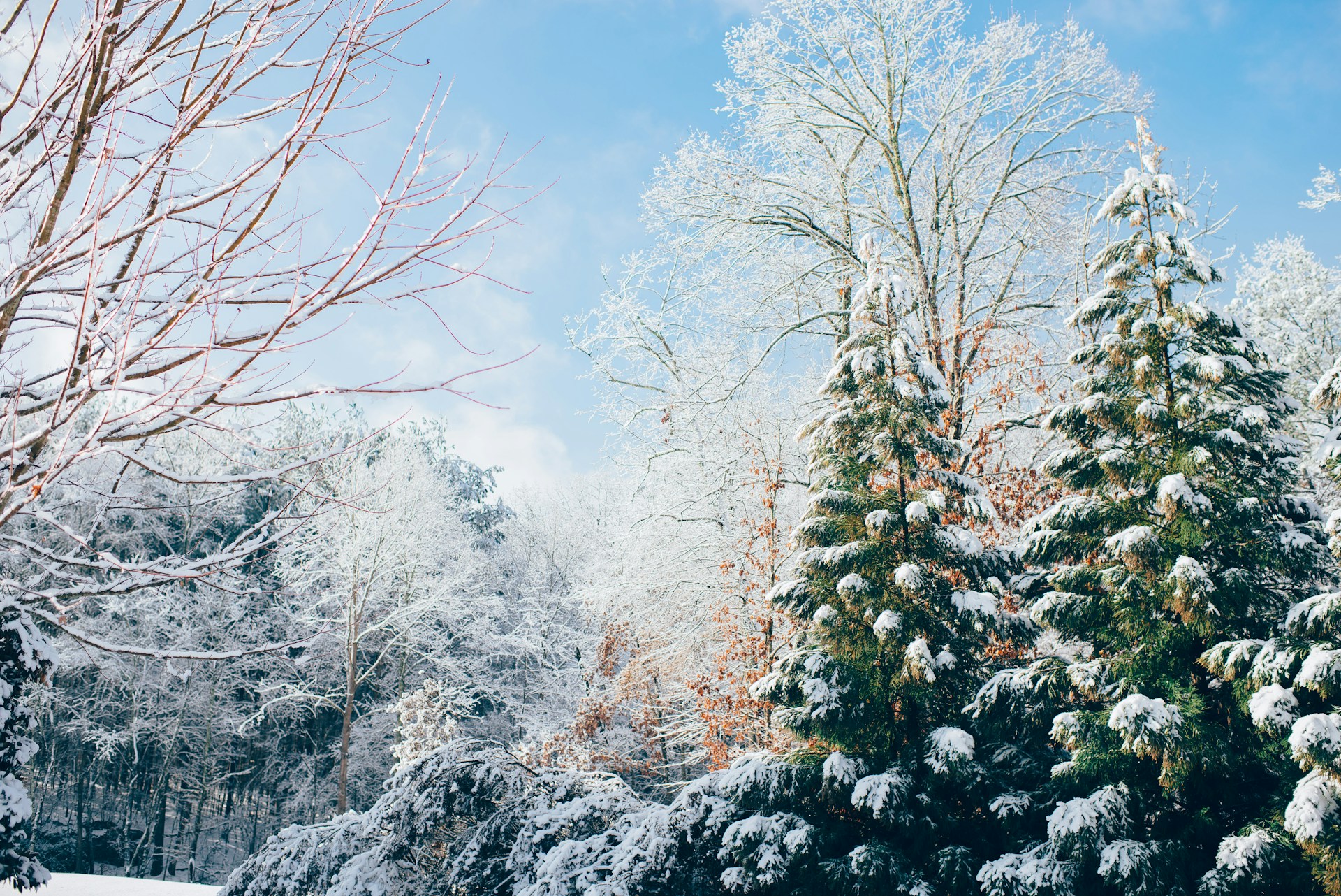 Top 20 Best Outdoor Christmas Activities