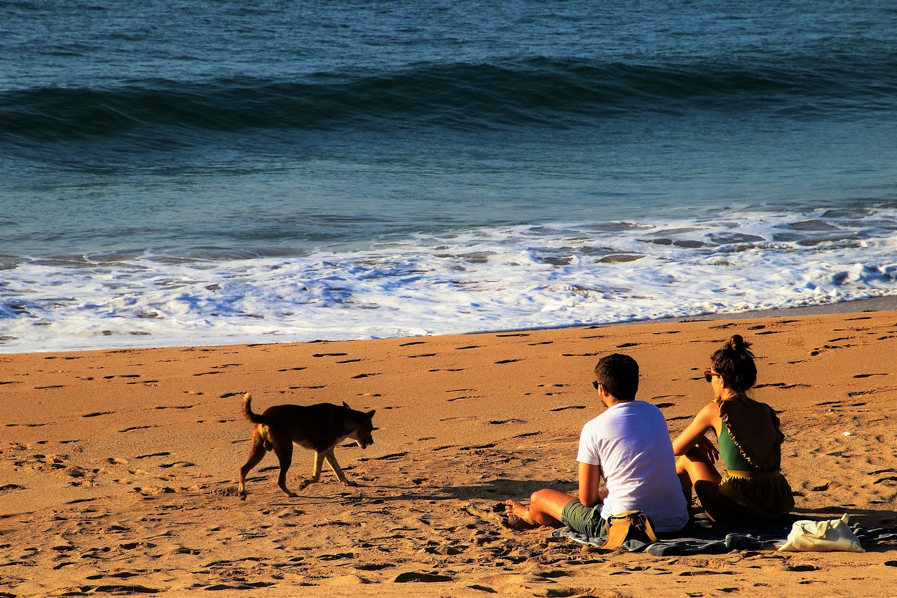 10 Fun things to do in Cornwall for adults