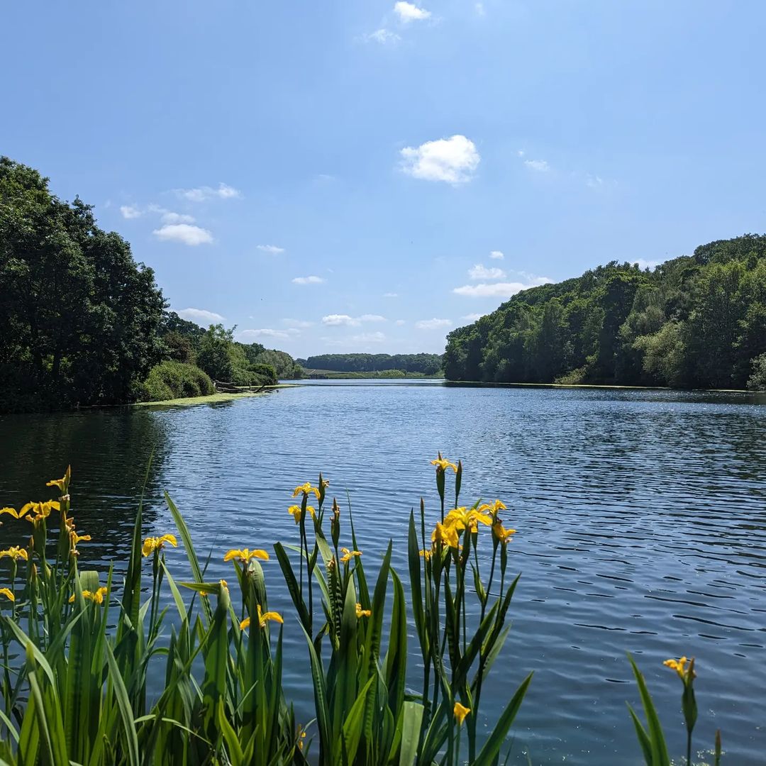 Top 10 things to do in Nottinghamshire for families