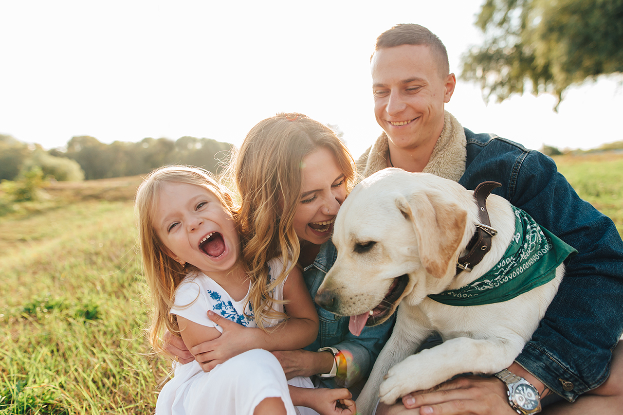 15 Things to do in Dorset with dogs