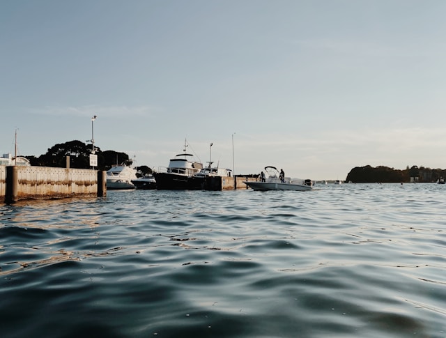 The top 12 boat trips in Dorset to experience