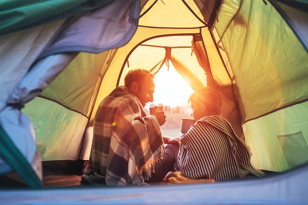 Camping in the New Forest – The Ultimate Guide