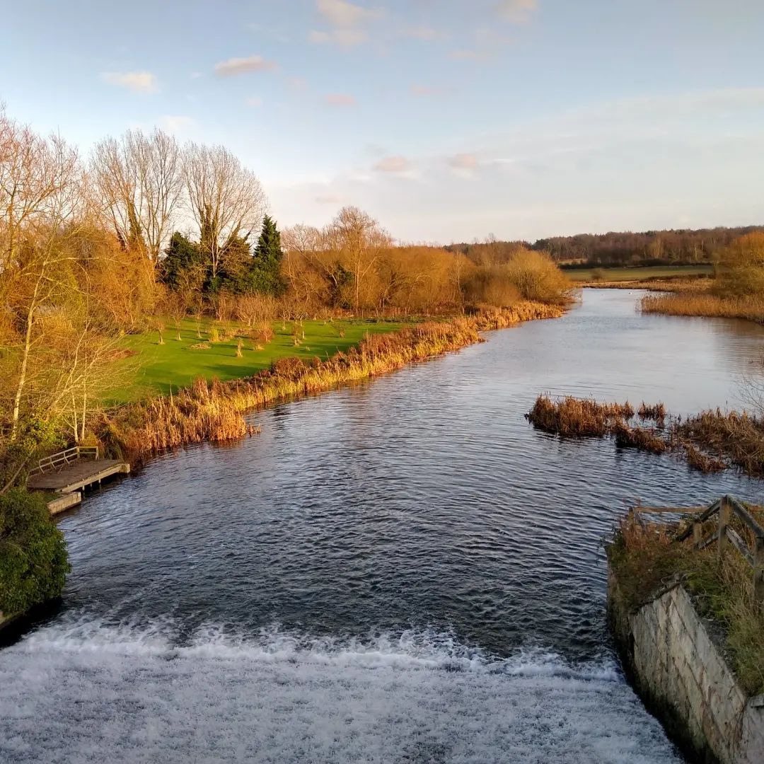11 Clumber Park walks in Nottinghamshire